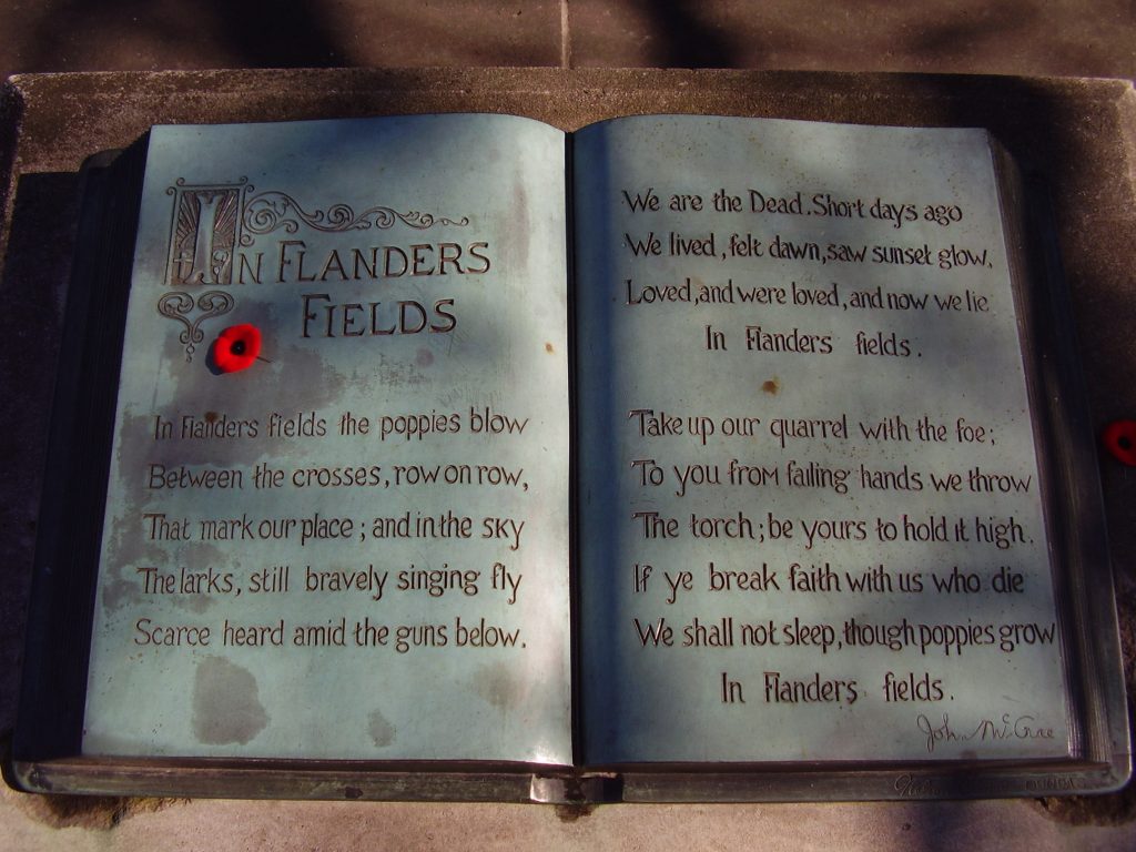World War One Poem | In Flanders Fields | Remembrance Day