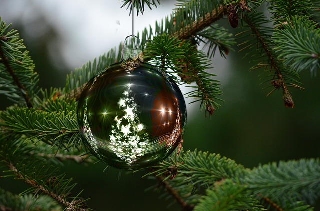 Real Vs Artificial | PVC | PU | Christmass Tree | Polyurethane