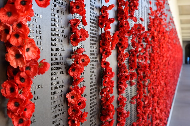 Remembering Day for those who have died in the first World War | Masterflex UK